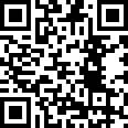 次元助手美化包